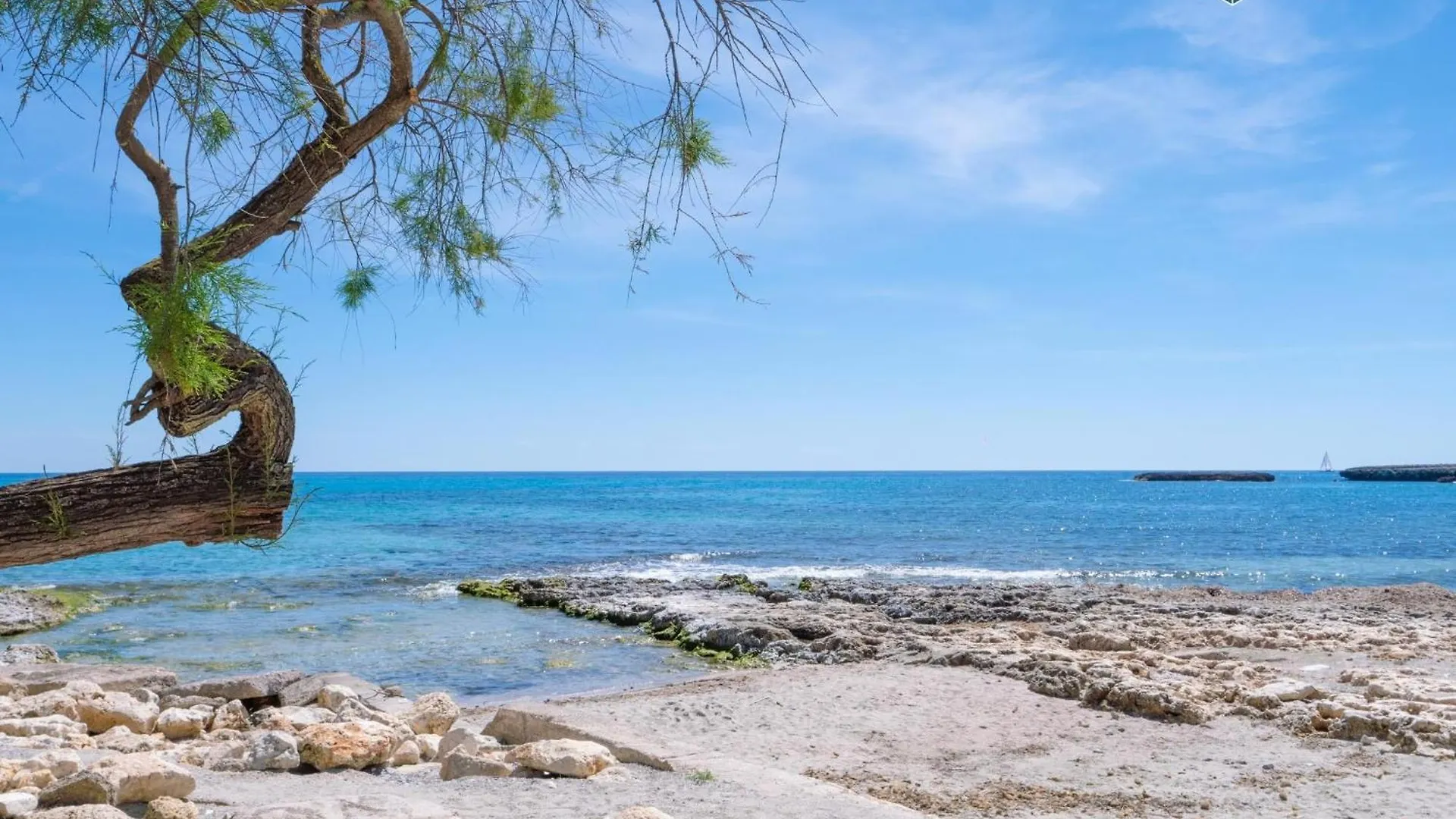 Διαμέρισμα Apto Antic 101 Pax 6 S'Illot